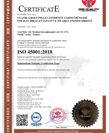 UYANIK GROUP 45001.jpg(1)